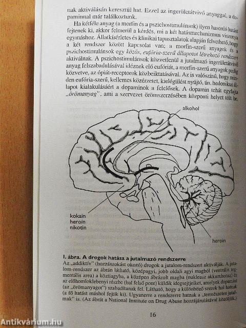 A drogkérdésről - őszintén
