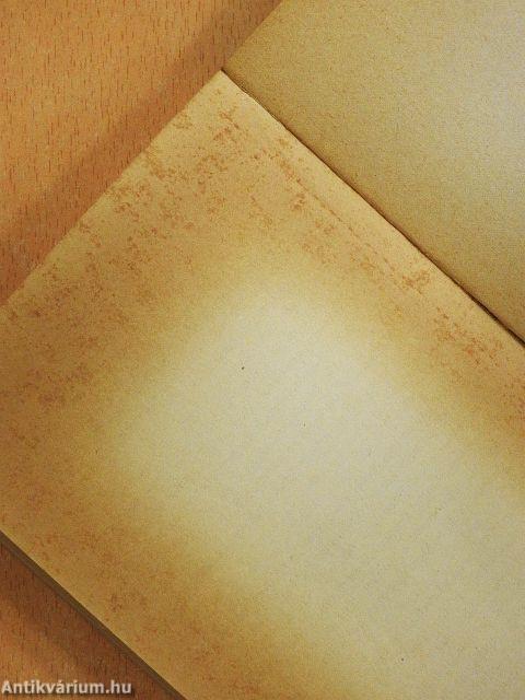 A rongyszedő lánya