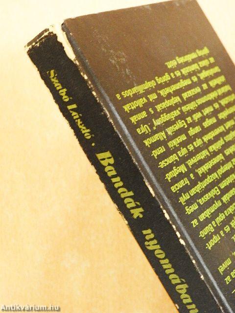 Bandák nyomában az Interpol