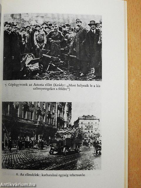 Az őszirózsás forradalom