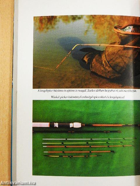 Keszeghorgászat modern módszerekkel