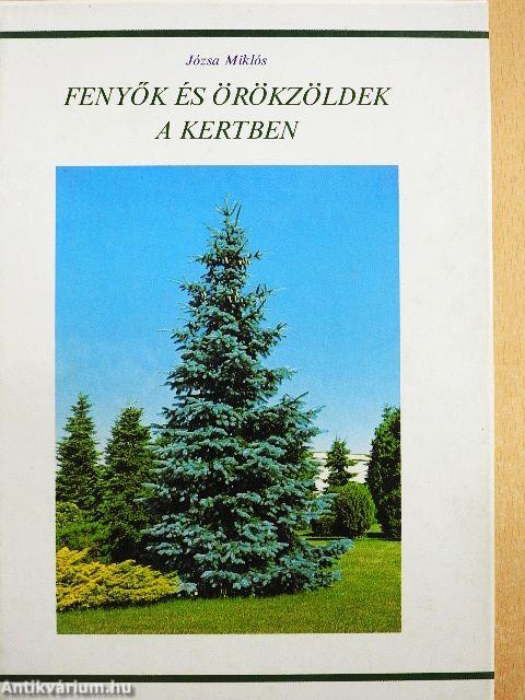 Fenyők és örökzöldek a kertben