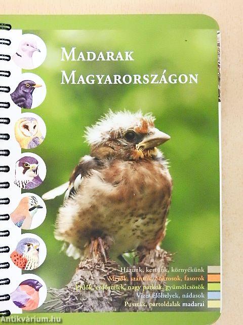 Madarak Magyarországon