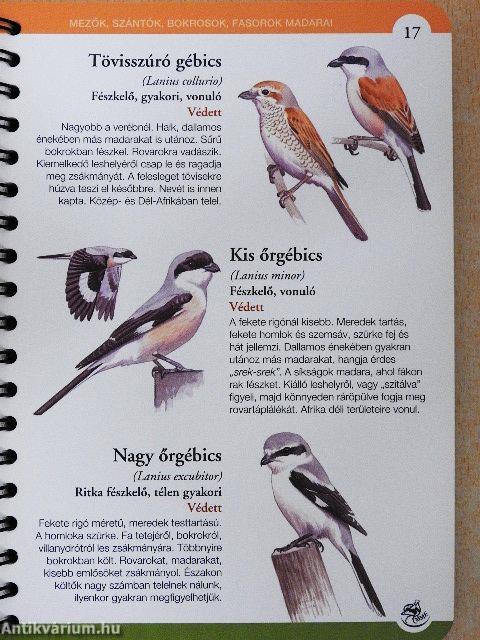 Madarak Magyarországon