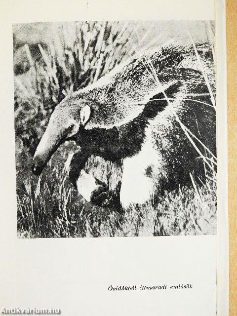 Nyolc év a Kongó törpéi között/Gésák, pagodák, titkok/Keleti koktél/A lázadó hajó/Az örjöngő Ucayali/A hosszú árnyék földjén/Ember a csúcson/Hegyen-völgyön