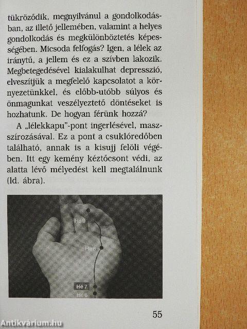 A jellemmegtartó erő