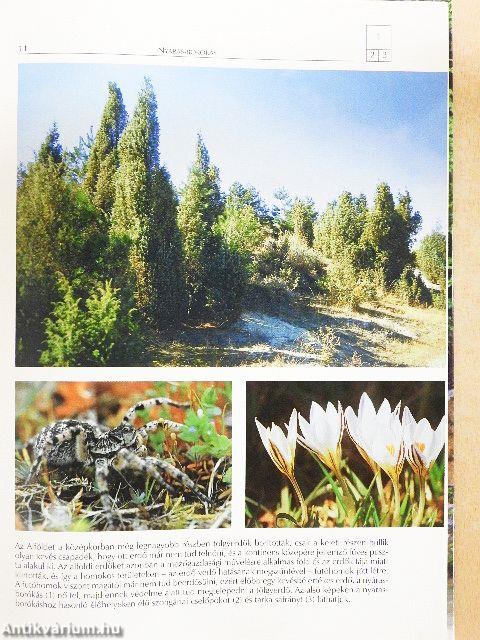 A Kárpát-medence természeti szépségei