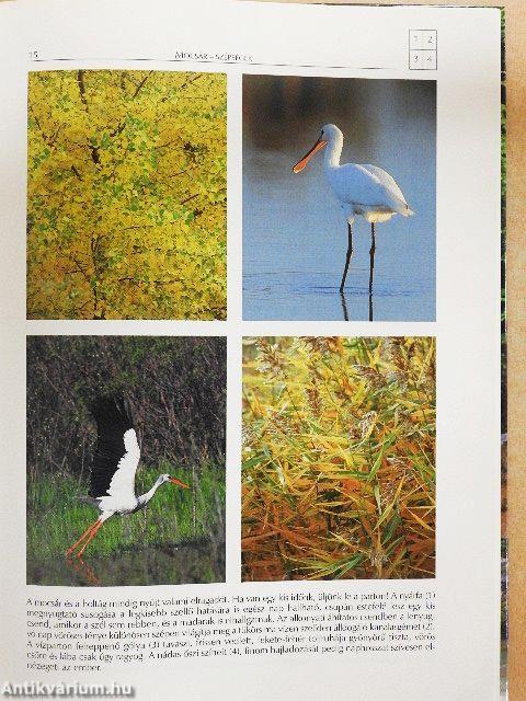 A Kárpát-medence természeti szépségei