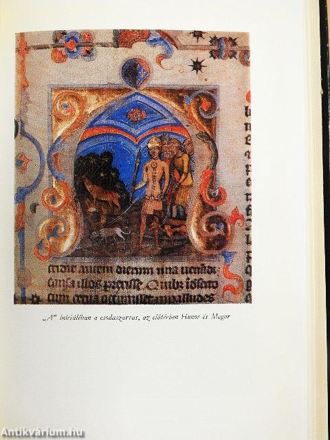 Az Árpádok nyomában