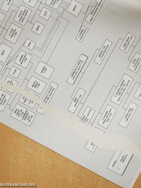 A középkor története (476-1456)