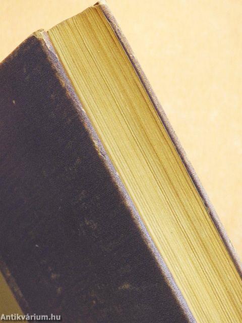 Albérlet a Síp utcában