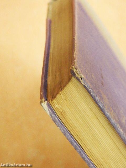 Albérlet a Síp utcában