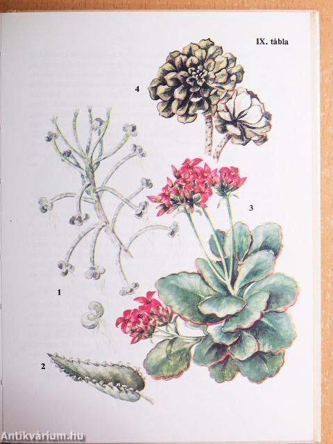 "15 kötet a Búvár zsebkönyvek sorozatból (nem teljes sorozat)"