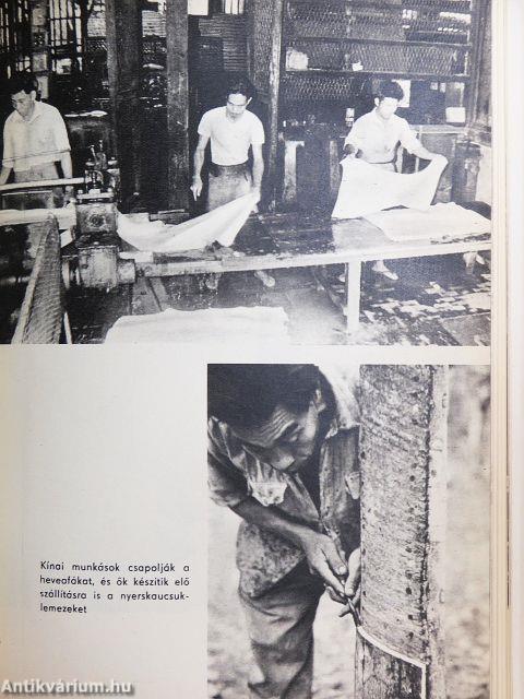 A világ leghosszabb útvonalán