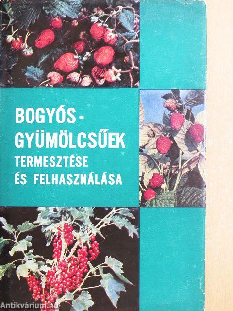 Bogyósgyümölcsűek termesztése és felhasználása
