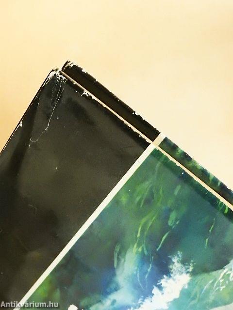 Tutajjal a Csendes-óceánon