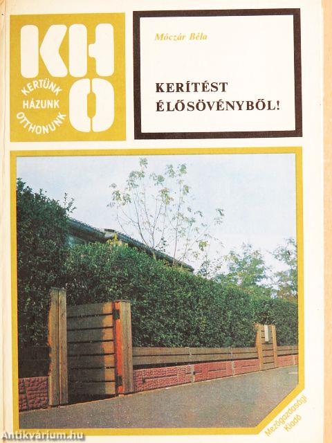 Kerítést élősövényből!