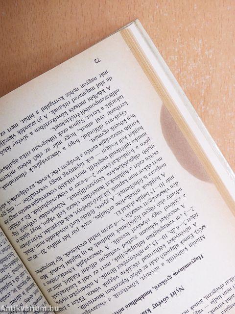 Kerítést élősövényből!