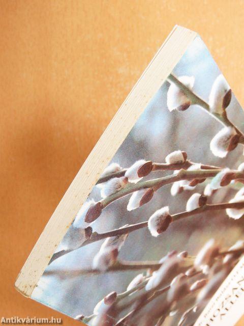 Hozsannától Allelujáig