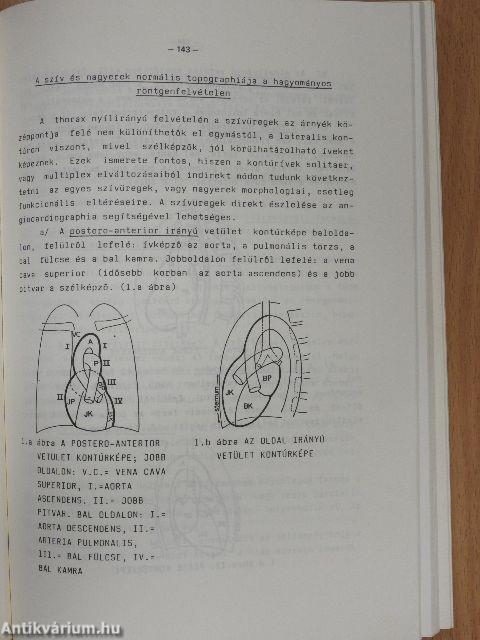Az orvosi radiológia alapfogalmai