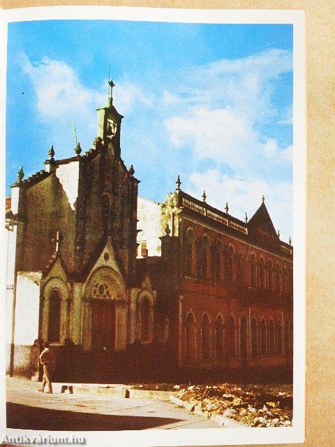 Az Ucayali delfinjei