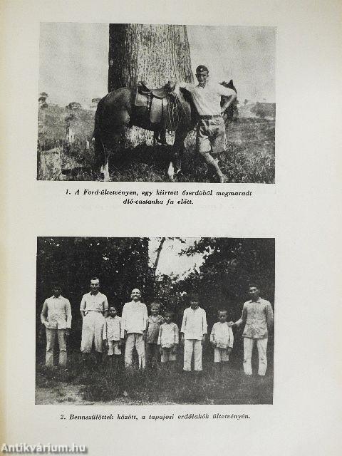 Kalandok a braziliai őserdőben