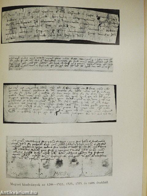 Zala megye története a középkorban I.