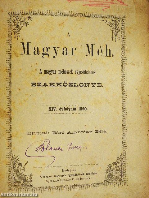 A Magyar Méh 1890/1891. január-deczember