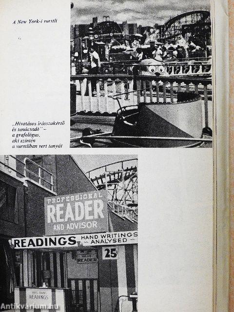 Feleség voltam New Yorkban