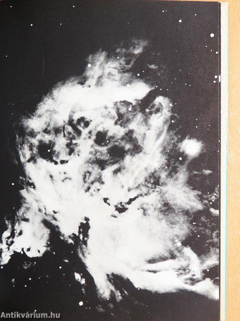 A Világegyetem gyermekei