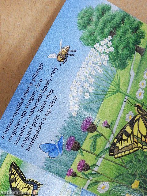 Forgasd a korongot! - Erdőn, mezőn