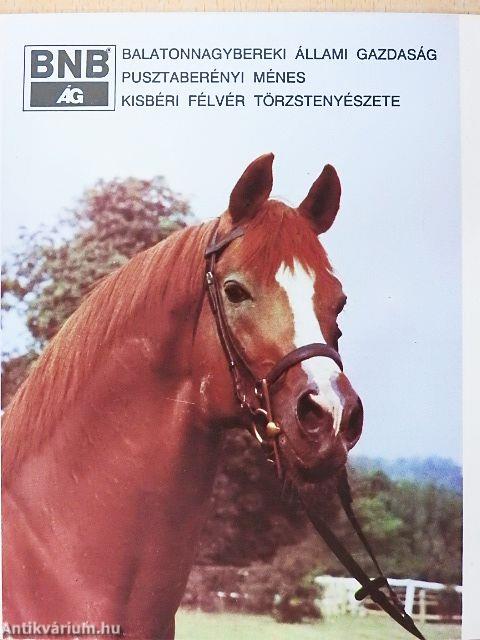 Balatonnagybereki Állami Gazdaság Pusztaberényi Ménes Kisbéri Félvér Törzstenyészete