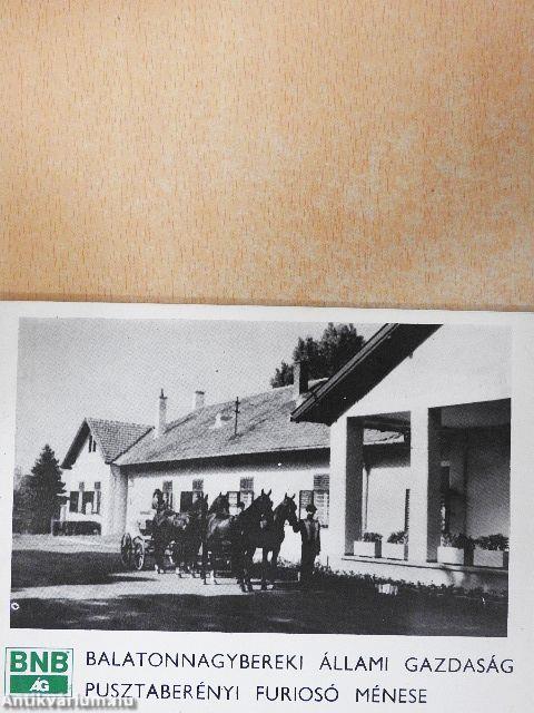 Balatonnagybereki Állami Gazdaság Pusztaberényi Furiosó Ménese