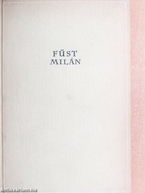 A feleségem története