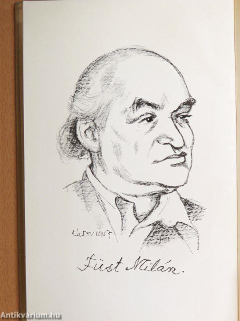 A feleségem története