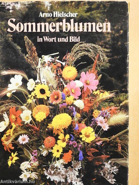 Sommerblumen in Wort und Bild