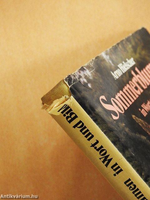 Sommerblumen in Wort und Bild