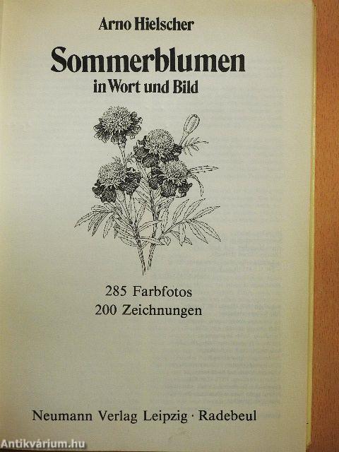 Sommerblumen in Wort und Bild