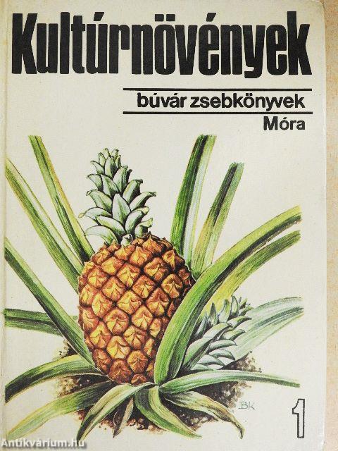 Kultúrnövények 1.
