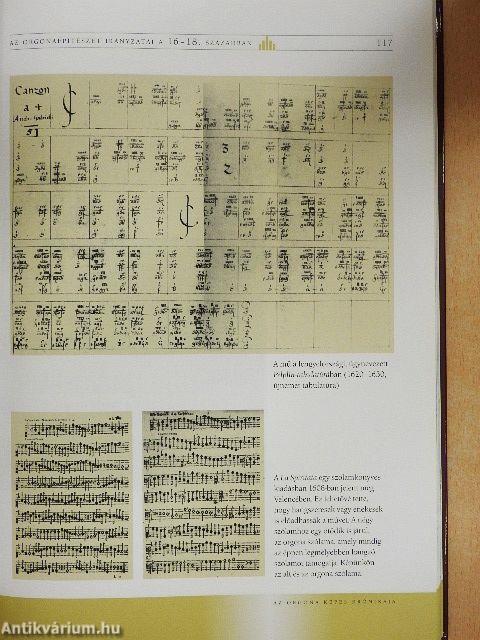 Az orgona képes krónikája