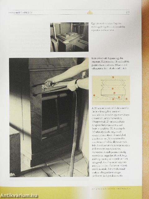 Az orgona képes krónikája