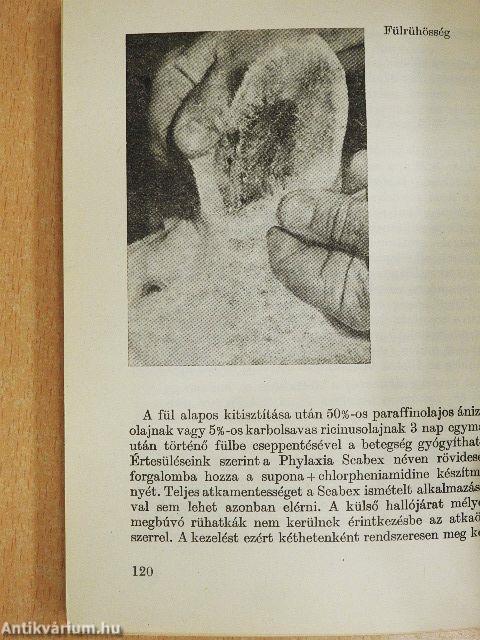 Kisállatok egészségvédelme