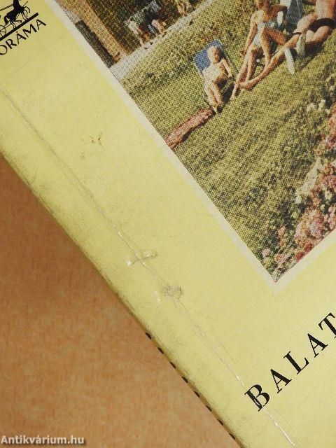 Balatonalmádi és környéke