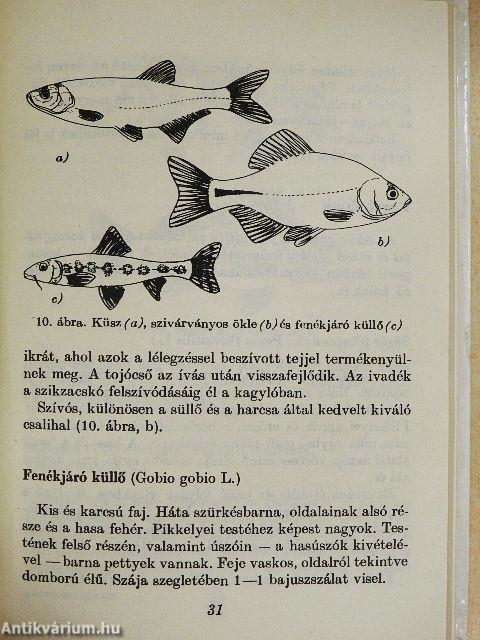 Keszeghorgászat, versenyhorgászat