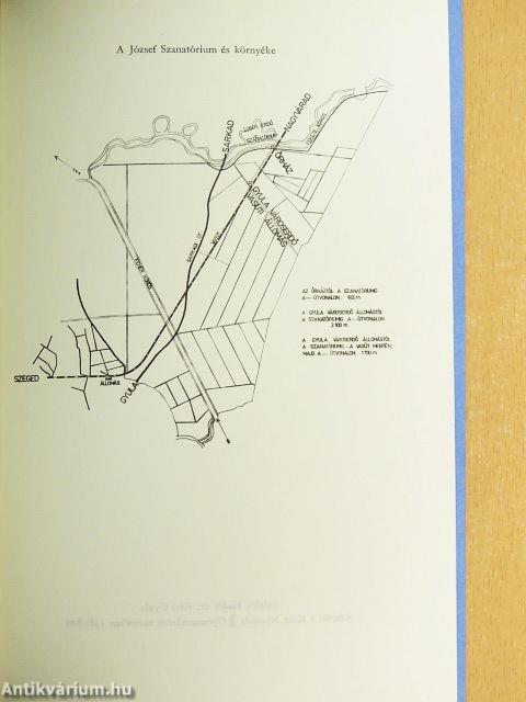 A József Szanatórium alapításának és építésének története
