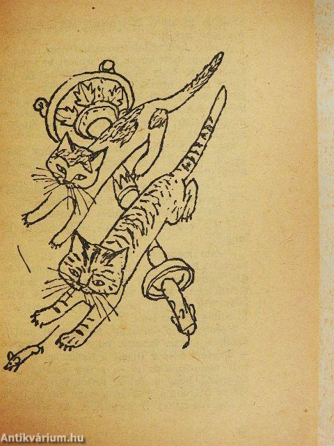 Hoztam-e spanyolviaszkot?