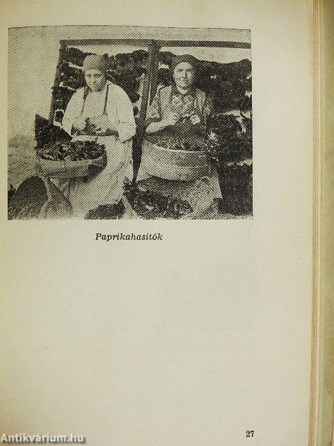 A szegedi népélet 2.