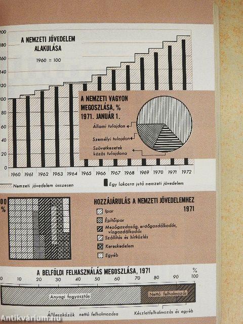 Magyar statisztikai zsebkönyv 1973.