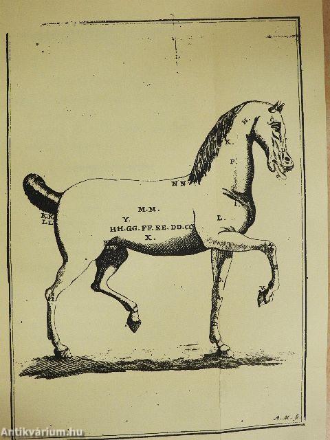 Lovakat orvosló-könyv