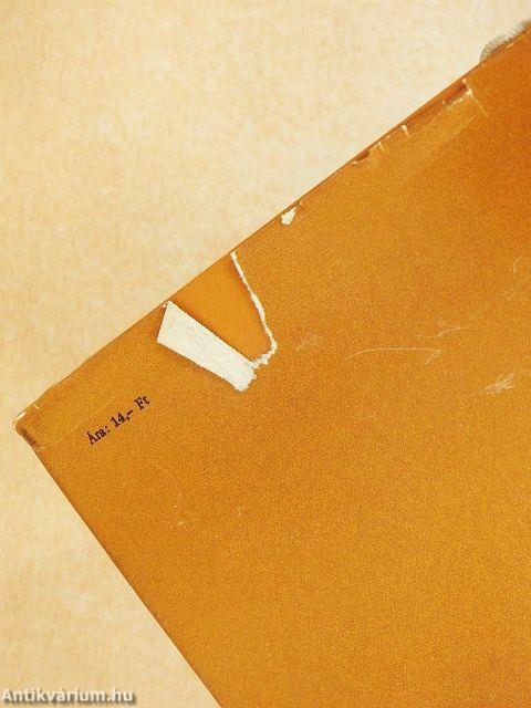 Arany János hétköznapjai